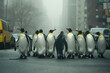 Penguins huddled in the center of an urban street. Climate change