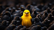 Solitary Yellow Bird Amongst Dark Flock, Conceptual Image