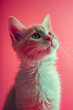 Whimsical elegance: a modern portrait capturing the charismatic allure of a magnificent purebred cat, infused with vibrant pink hues for playful sophistication