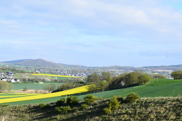 Wall Mural - spring green and yellow blooming hills with small town Mendig in background