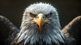 Fototapeta  - Majestic Bald Eagle in Cinematic Photographic Style with Hyper Details