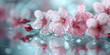 Delicate Sakura Blossoms with Raindrops on Reflective Surface