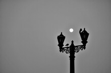 Full Moon, Two Crows Sitting On Antique Light Pole, Gateway Of India, Apollo Bunder, Colaba, Bombay, Mumbai, Maharashtra, India, Asia