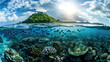 A split-view captures the tropical island above and fish swimming gracefully underwater, offering a mesmerizing glimpse of marine life and island beauty.