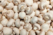 Background of fresh whole mushrooms champignon, close up. Raw white champignon mushrooms on at farmers market.