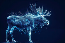 Intricate Wireframe Depiction Of A Moose On A Dark Blue Background, Showcasing A Complex Web Of Geometric Lines That Create A Stunning, Minimalist Design Ideal For Modern And Artistic Digital Projects