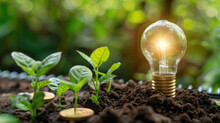 Energy Saving Return On Investment With The Concept Of Shining Light Bulbs, Green Plant Shoots Growing, Miniature Houses And Gold Coins Created With Generative AI Technology 