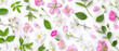 The beautiful spring season features various blooming flowers and scattered green leaves arranged neatly on a white background created with Generative AI Technology