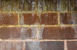 A brick wall with algae stains in close up