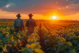 Fototapeta  - A contemplative moment captured as two farmers observe the growth of their soybean crops under the breathtaking colors of sunset