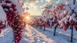 Magical snowy vineyard scene, wine grapes frosted with snow, brilliant color highlights