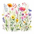 A watercolor painting of a variety of flowers in a field.