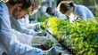 Bio-engineered plants in lab