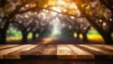 Blurred Blossoms: Orchard Bokeh Background On Wooden Table
