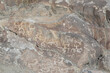 Prehistoric Petroglyphs, sacred rock of Hunza, rock carvings in Gilgit Baltistan, Pakistan.