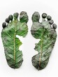 Green footprint, human ecological footprint, grass leaves and green nature, pollution control, planet climate change