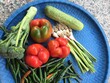 vegetable arganic testy and healthy food