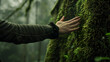 © EEKONG - A Close up hand reaches out to touch the green nature. Concept of green environment.