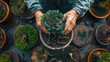 banner background National Gardening Day theme, and wide copy space, An overhead shot of a gardener's hands pruning a bonsai tree with delicate precision, 