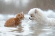 The cutest scene of a chubby Persian kitten with a tiger stripe floating and freezing against a cute white, fluffy Pomeranian dog