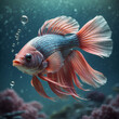 Colorful Goldfish Swimming in Clear Water Aquarium Tank