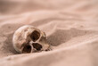 Human Skull In The Sand