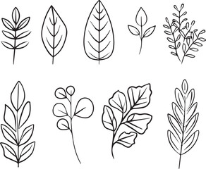 Wall Mural - Set of Leaves thin line icons black on white background