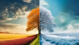 Fototapeta Londyn - split comparison view of different summer vs winter seasons, aging or timeline of environmental climate change concepts as wide banner.