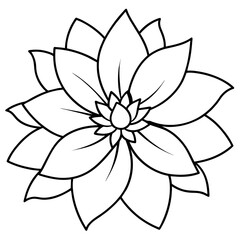    Flower vector illustration with line art.
