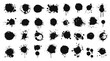 Set of abstract black ink splashes and blots on a white background. Vector collection of black paint splatters, grunge artistic effect. Ink stains and blotches textures