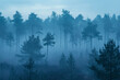 A forest with trees in the distance and a foggy sky