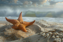 A Starfish Is Laying On The Sand On A Beach. The Starfish Is Orange And Has A Lot Of Small Points. The Beach Is Empty And The Sky Is Cloudy