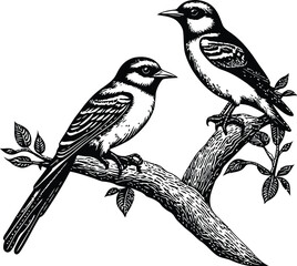 a close up of a black and white little bird on a branch of tree
