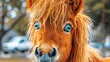   A tight shot of a horse's face, its bright blue eyes gazing intently, long mane framing the head