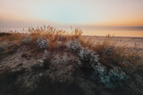 Fototapeta Krajobraz - sunrise over the baltic sea