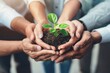© alphaspirit - Diverse business people show unity by holding a small plant together, symbolizing teamwork and growth