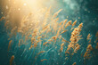 © Jasmina - Secret life of grass, beautiful, idyllic spring summer nature background with wild meadow grass close up