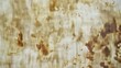 aged stain muslin fabric texture