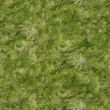 © eruppee - seamless grass texture tile top view short cut green natural lawn ground for surface mapping architecture game design 2d flat