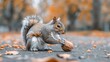 Squirrel Eating Nut in Pile of Leaves