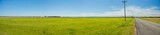 Fototapeta Sawanna - green field with paved country road and blue sky