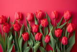 Fototapeta Desenie - flowers are red tulips, set lying on red background