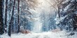 © Fotograf - A snow-covered path in a serene snowy forest. Perfect for winter themed designs