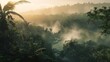 Ethereal morning mist rising above the tropical rainforest canopy welcoming the daybreak