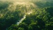 The morning sun pierces through thick jungle foliage, casting a magical light over the verdant landscape