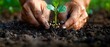 Hands Nurturing Growth: The Intimate Bond with Earth. Concept Nature Connection, Sustainable Living, Gardening Tips, Eco-Friendly Lifestyle, Earth Healing