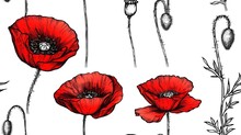 poppy flower botanical drawing, floral design with poppy seed flowers, set