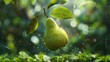 A vibrant green pear, adorned with leaves, floats effortlessly in mid-air against a verdant backdrop, capturing the essence of gravity-defying food levitation.