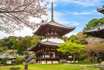 Wall Mural - Daito Pagoda of Negoro ji temple in Iwade city of Wakayama, Kansai, Japan