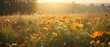 Panorama of beautiful meadow flowers in early sunny fresh morning. Vintage autumn landscape background. colorful beautiful fall flowers magical background